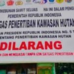 Gambar saat ini: Plank Diareal Perkebunan