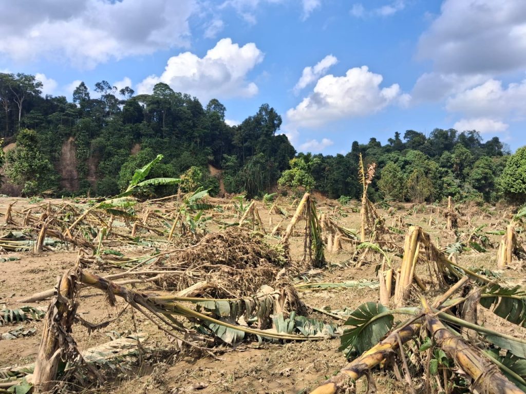 Gambar saat ini: Lahan Pertanian Warga Aras Napal Kiri